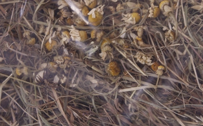 Excellent Herbal Hay Chamomile and Dandelion - Image 2