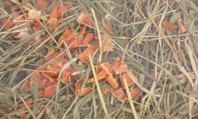 Excellent Herbal Hay Root and Echinacea - Image 2