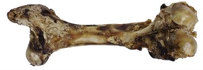 Petsnack Dinobot XXL – Large Natural Chew Bone with Meat Pieces - 100% beef - Image 2