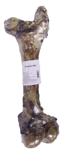 Petsnack Dinobot XXL – Large Natural Chew Bone with Meat Pieces - 100% beef - Image 3