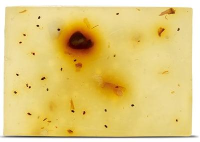 Beloved Vegan Pet Shampoo Bar - Image 2