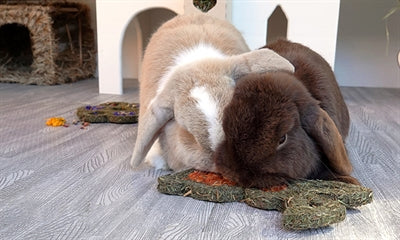 Naturals Rosewood Naturals Carrot 'N' Forage Bunny - Image 2