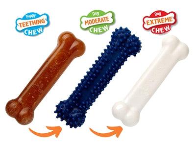 Nylabone Puppy Chew Puppy Starter Kit Chicken - 3 pieces for puppies and small dogs - Image 2