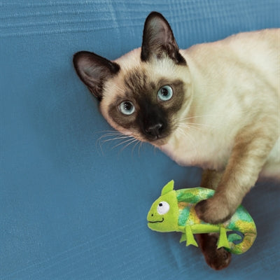 Kong Chameleon With Catnip Refillable - Image 3