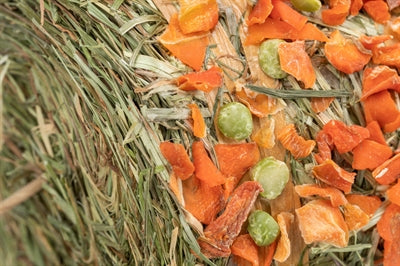 Trixie Grain-Free Hay Pendant with Peas and Carrot – 250g – Hanging Snack - Image 3
