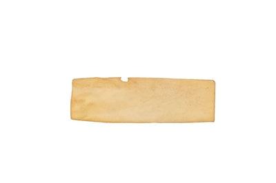Petstyle Living Puffed Chips Beef - Image 2