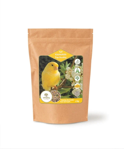 Utopia Canaries Top Quality