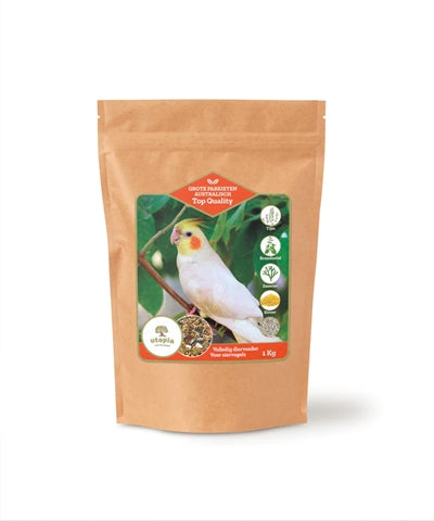 Utopia Large Parakeets Australian Top Quality
