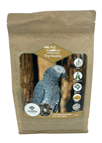 Utopia African Parrots Top Quality