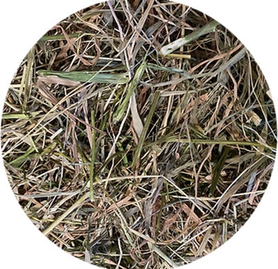Utopia Timothy Hay with Parsley - Image 2
