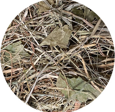 Utopia Timothy Hay with Birch Leaf - Image 2