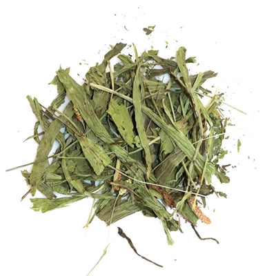 Utopia Plantain for Rodents and Rabbits - Image 2