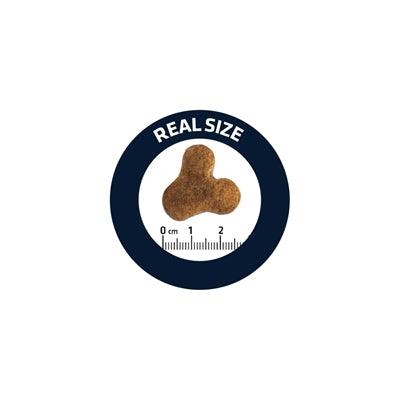 Advance Adult French Bulldog Dog Food - Supports Heart, Skin, and Respiration - 7.5 kg - Image 2