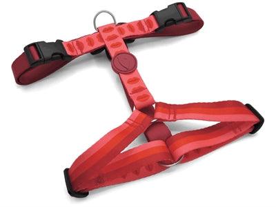 Morso Dog Harness H-Harness Recycled Lipstick Pink - S to XL - Image 1