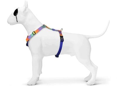Morso H-Harness Recycled Spring Blossom Dog Harness – S to XL - Image 2