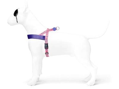Morso Norwegian Dog Harness Sweet Tweet Pink - Adjustable - Size XS to XXXL - Image 2