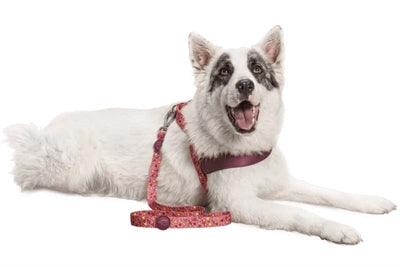 Morso Dog Leash Recycled Pink Think Pink – Sustainable and stylish – 120 cm long - Image 3