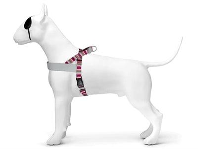 Morso Norwegian Dog Harness Skyline Red/Pink - Adjustable - Size XS to XXXL - Image 1