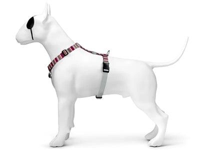 Morso Dog Harness H-Harness Recycled Skyline Red/Pink – S to XL - Image 2
