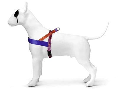 Morso Norwegian Dog Harness Recycled Urban Lizard Red - Size XS to XXXL - Image 2