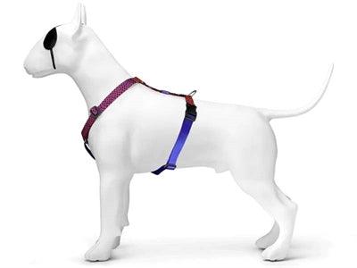 Morso Dog Harness H-Harness Recycled Urban Lizard Red – S to XL - Image 2