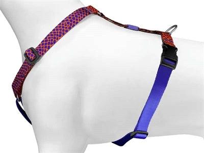 Morso Dog Harness H-Harness Recycled Urban Lizard Red – S to XL - Image 3