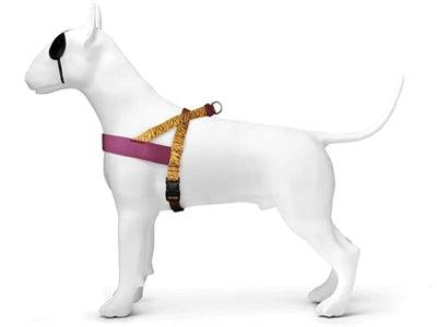 Morso Norwegian Jungle Drum Dog Harness Orange - Adjustable - Size XS to XXXL - Image 2