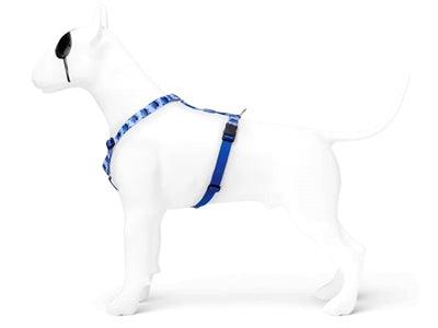 Morso H-Harness Recycled Splash Blue – S to XL - Image 2