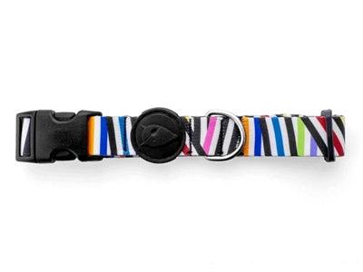 Morso Dog Collar Recycled Spaghetti Incident – ​​nylon collar - XS to M - Image 2