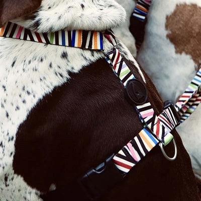Morso Dog Harness H-Harness Recycled Spaghetti Incident – ​​S to XL - Image 2
