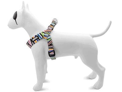 Morso Mini Dog Harness Spaghetti Incident - Adjustable - XS to M - Image 2