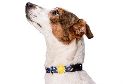 Morso Dog Collar – Recycled Color Invaders Purple – Small to Large Dogs - Image 3