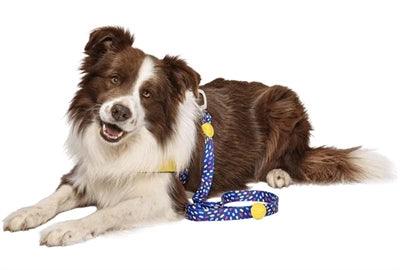 Morso Dog Leash Recycled Color Invaders Purple – Stylish and durable – 120 cm long - Image 3