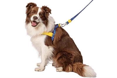 Morso Norwegian Dog Harness Color Invaders Purple - Adjustable - Size XS to XXXL - Image 2