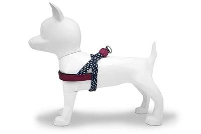 Morso Norwegian Dog Harness Power Flow Black - Adjustable - Size XS to XXXL - Image 2