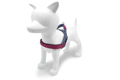 Morso Norwegian Dog Harness Power Flow Black - Adjustable - Size XS to XXXL - Image 3