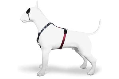 Morso Dog Harness H-Harness Recycled Power Flow Blue/white – M to XL - Image 2