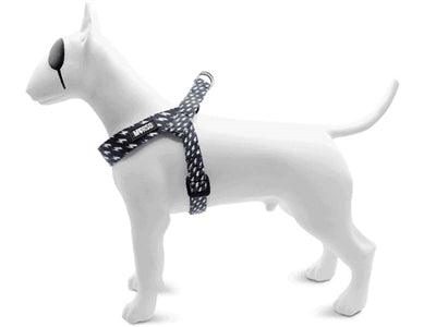 Morso Mini Dog Harness Power Flow Black - Adjustable - XS to M - Image 2