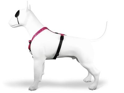 Morso Dog Harness H-Harness Recycled Bubble Leo Pink -XS to XXXL - Image 2