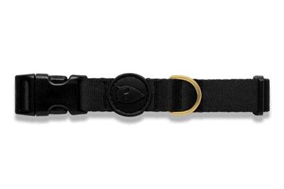 Morso Dog Collar – Recycled Gold Caviar Gold – Small to Large Dogs - Image 2