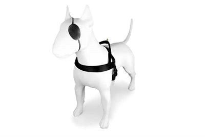 Morso Norwegian Dog Harness Gold Caviar Gold - Adjustable - Size XS to XXL - Image 2