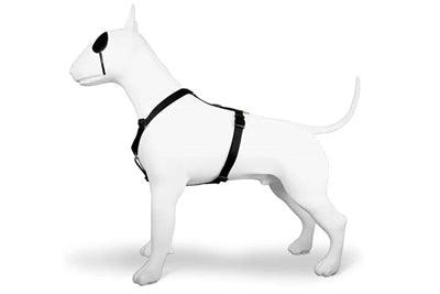 Morso Dog Harness H-Harness Recycled Gold Caviar Gold - S to XL - Image 2
