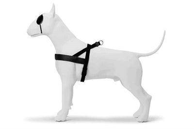 Morso Norwegian Dog Harness Pureness Black - Adjustable - Size XS to XXXL - Image 1