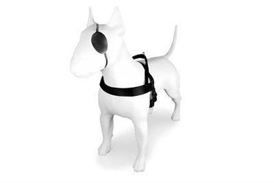 Morso Norwegian Dog Harness Pureness Black - Adjustable - Size XS to XXXL - Image 2