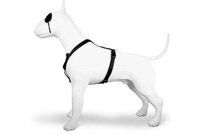 Morso Dog Harness H-Harness Recycled Pureness Black – S to XL - Image 2