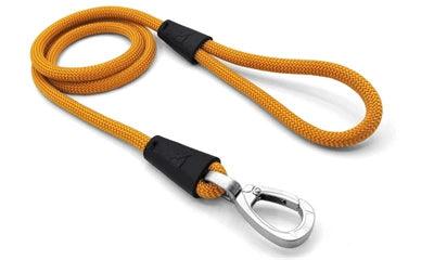 Morso Dog Leash Gold Gold – lightweight and shock absorbing – 120 cm long