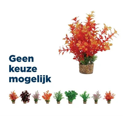 Zolux Ornament Pastic Plant On Stones Cheerful Assortment