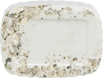 Trixie Chalk Stone with Shells, Minerals and Mussels