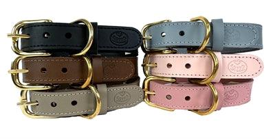 Sazzz Dog Collar Braveheart Classic Leather Taupe - modern look - Image 3