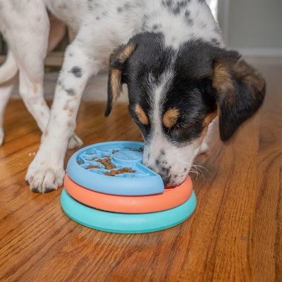 Nina Ottosson Nina Ottesson Puppy Lickin Layers - Interactive toys for dogs - Image 2